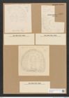 Diatomeae indet. Zeichnungen Sammlung Grunow Nr. 5066 (NHMW-BOT-W0373334)